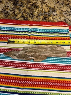 Natural Driftwood Reptile Habitat Décor - Brown